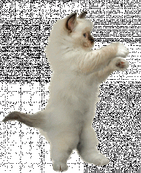 дцдка3.gif