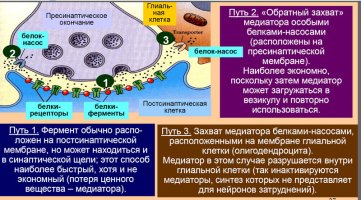 ОЗ.jpeg ОЗ.jpeg