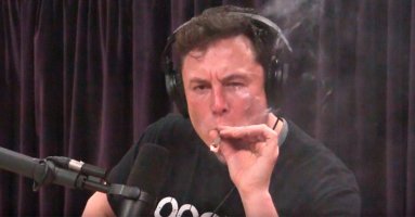 elon_musk_smoking_weed_dtf_header.jpg