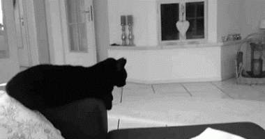 По рукам.gif