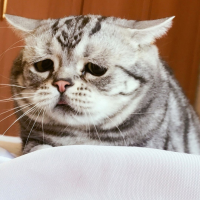1681661847676.png