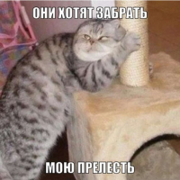 1692092654338.png