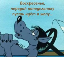 LerCxM6JBwY.jpg