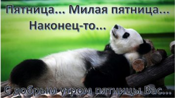 панда-1024x574.jpg