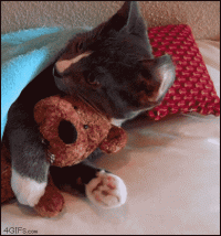 WNaf.gif