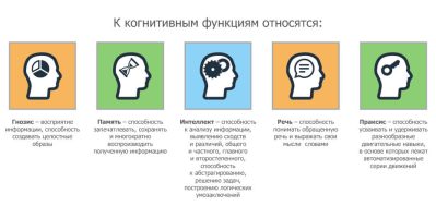 IMG_4293.PNG