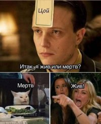 2dTfyP3T0uU.jpg