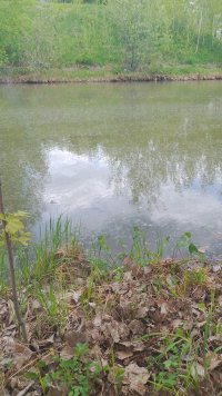 IMG_20250522_124208_405.jpg