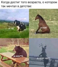 _VJq03ZkB00.jpg