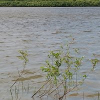 IMG_20250623_125457_832.jpg
