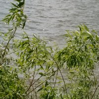 IMG_20250623_124831_116.jpg