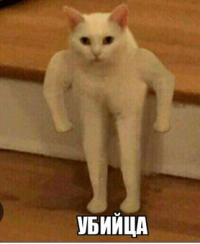 1750841927870.png
