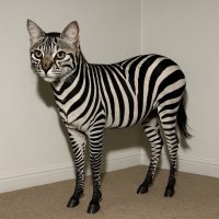 z0mxDpiPJrn0FgwPaZxrzZUdphx9Ltx51UNZr0TTyNtVr4b9FvFTWOtg9YMLRshhnfm_1-56UIsnMDL-OYjGaI14.jpg