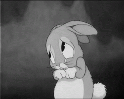21b96eb7bc37385dde8ef489ede21e3b.gif