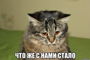 1652640564189889389.jpg