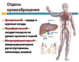 1658694280700.png 1658694280700.png