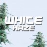 WHITE HAZE