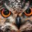 owlsova